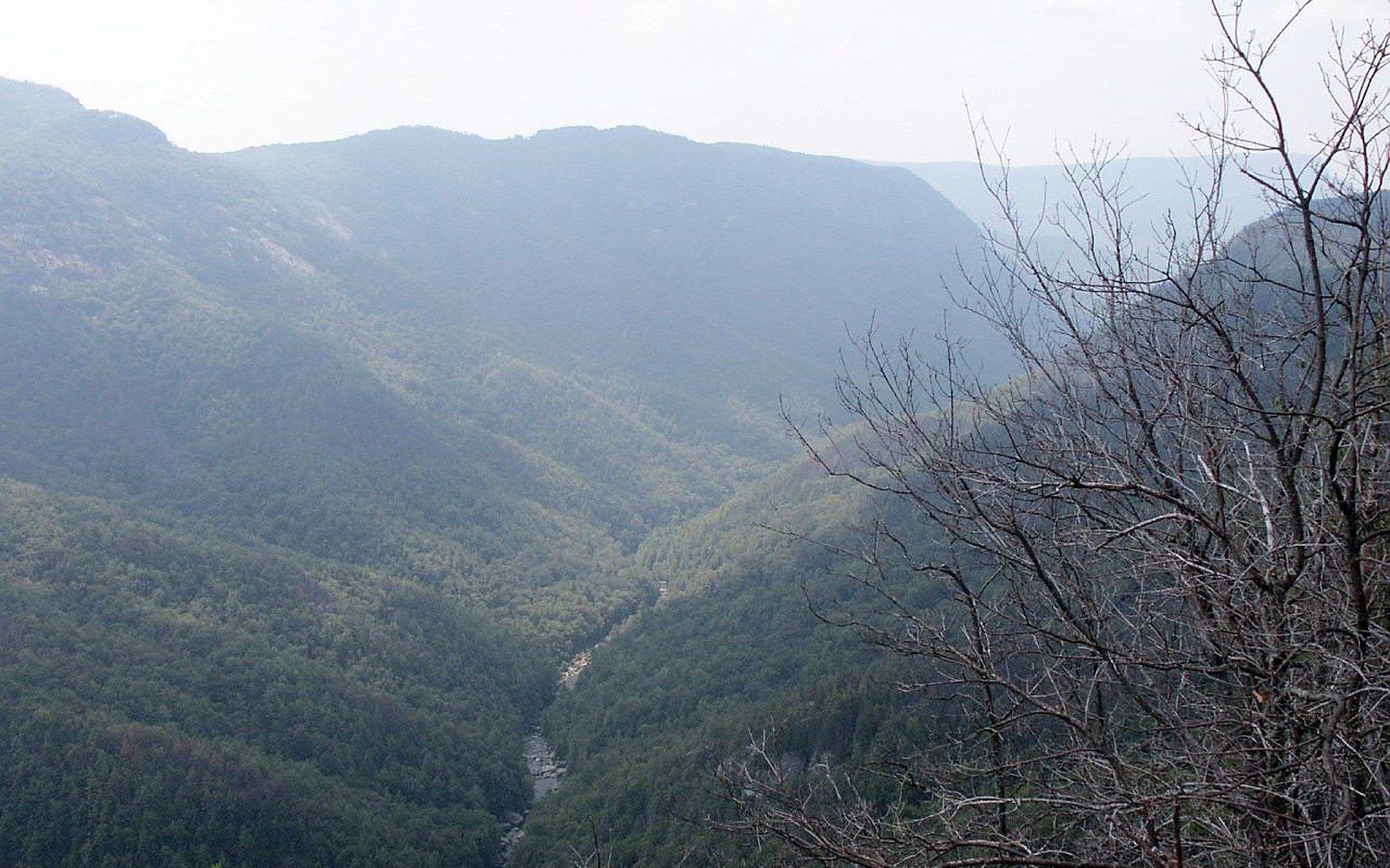 Forested gorge with a river winding through the valley below hazy ridgelines