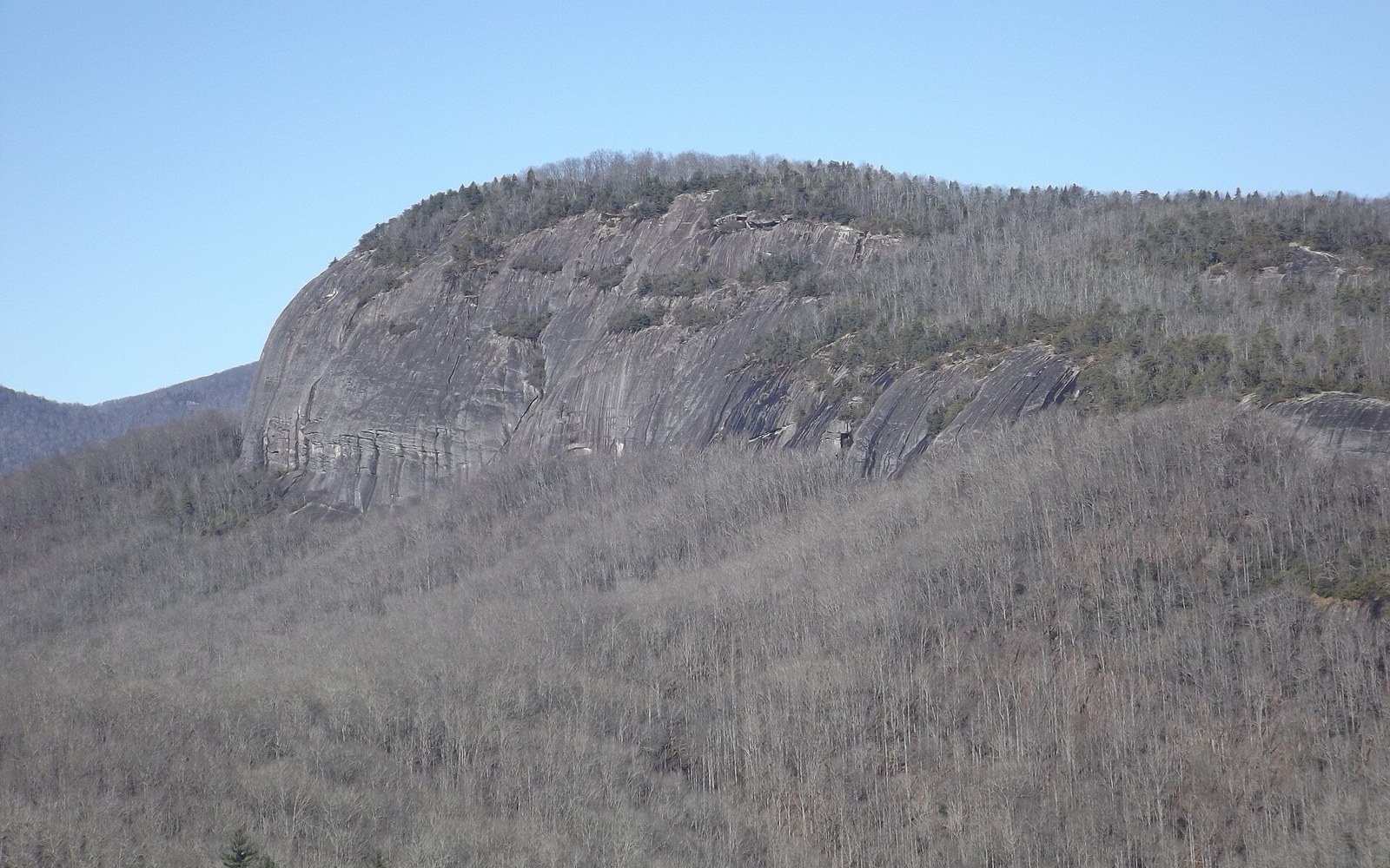 Bare granite dome rises above bare winter trees on a mountain slope